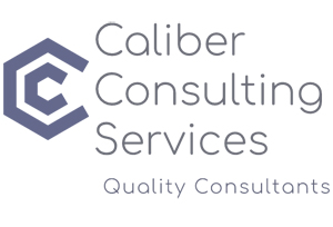 Caliber Consulting Services LLC