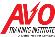 AVO Training Institute, Inc.